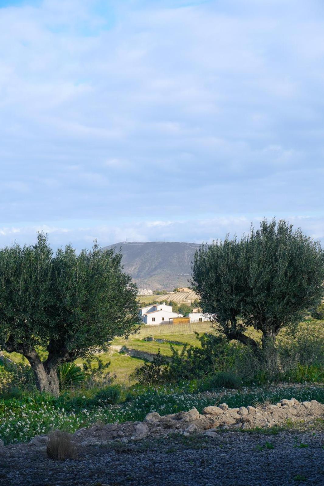 Hotel Finca Olivar Benissa Esterno foto