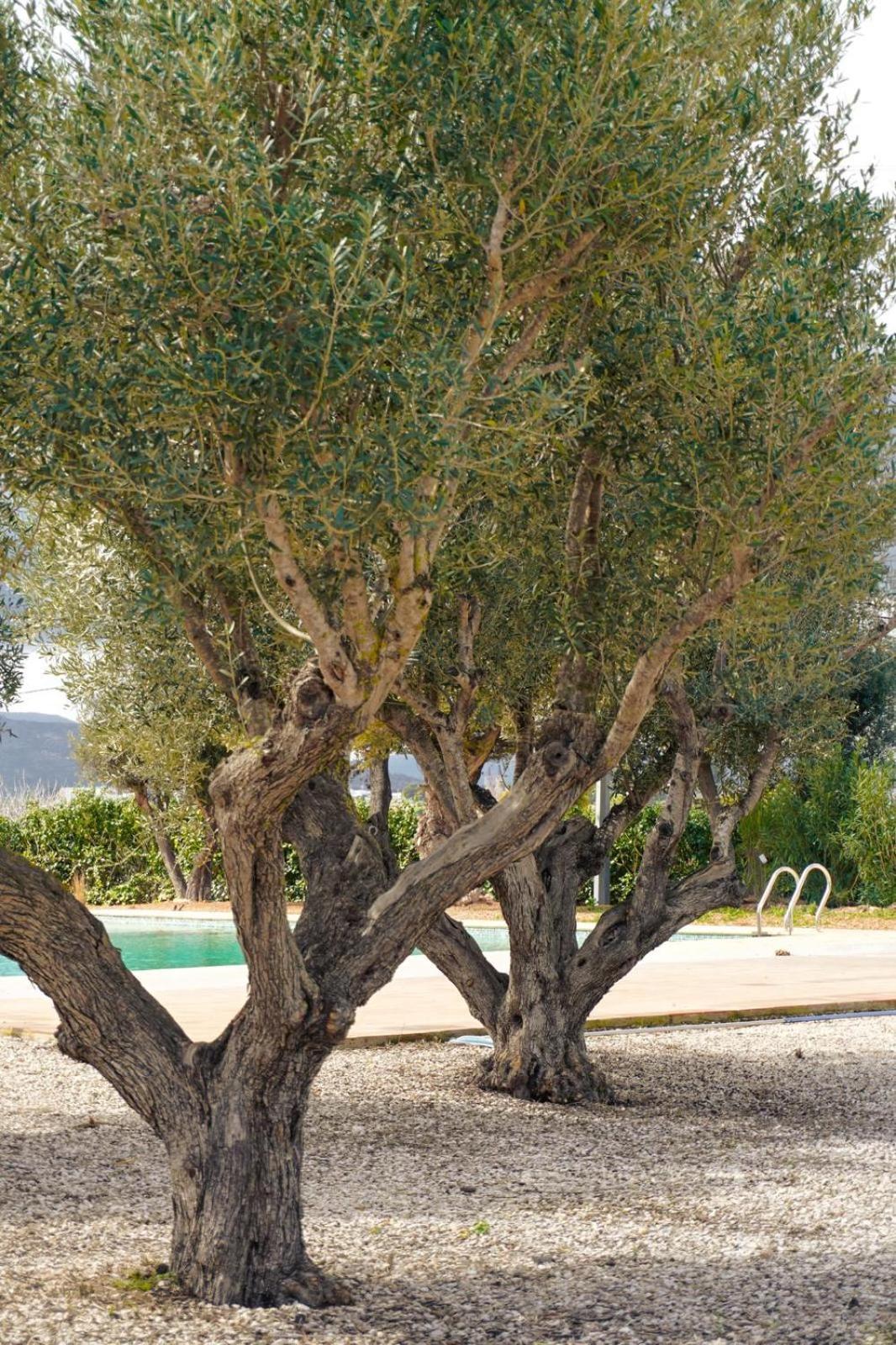 Hotel Finca Olivar Benissa Esterno foto