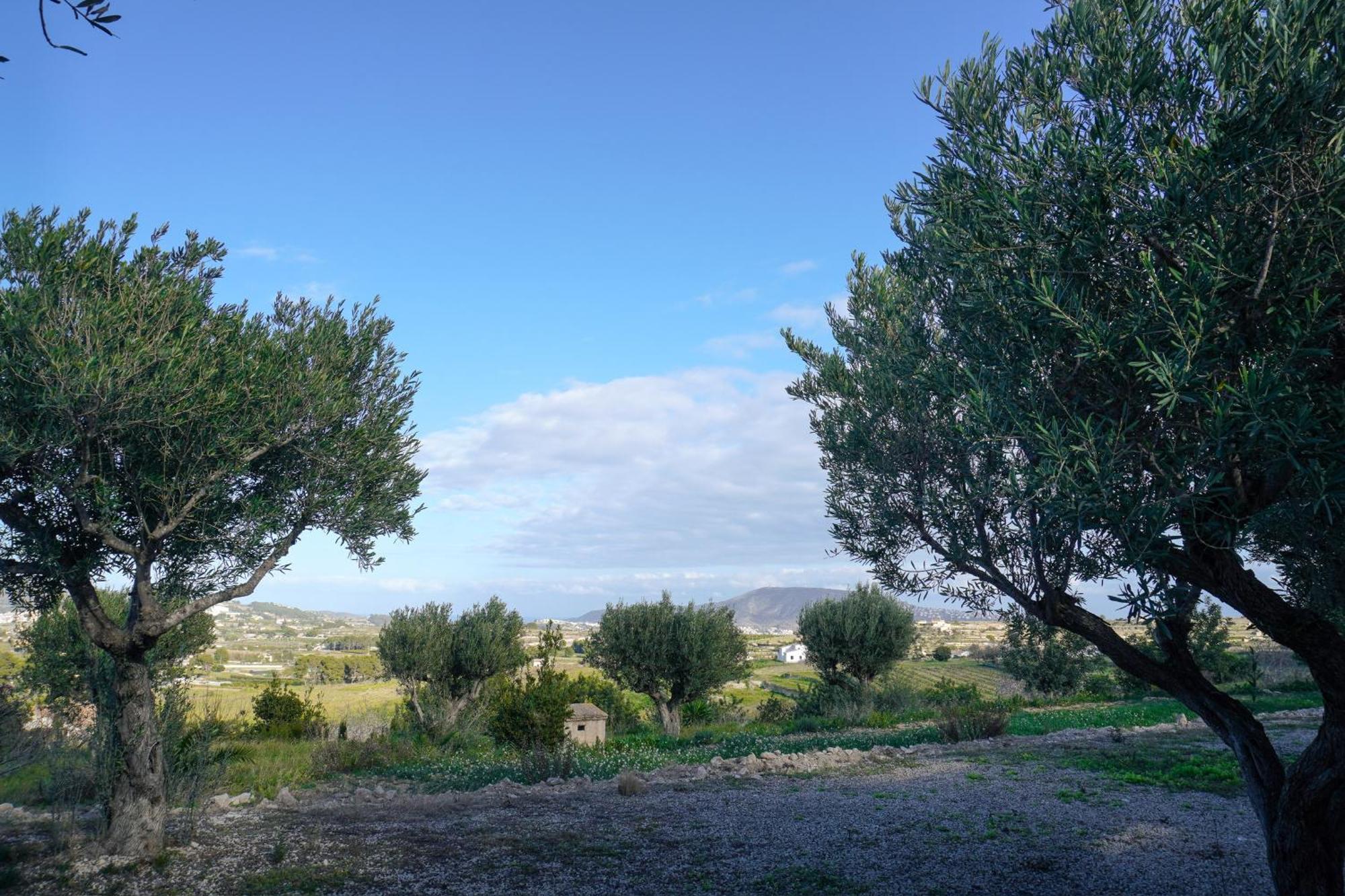 Hotel Finca Olivar Benissa Esterno foto