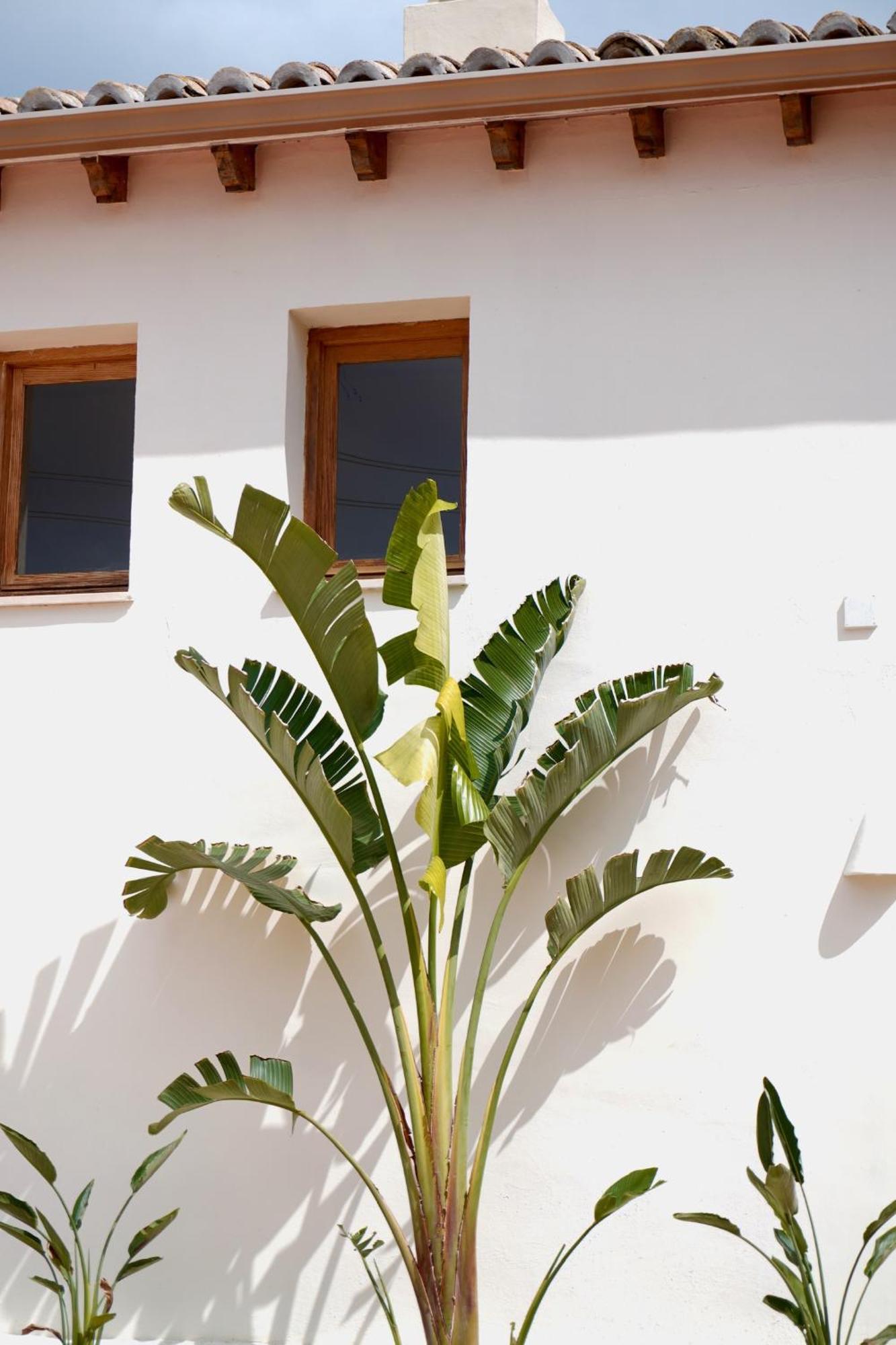Hotel Finca Olivar Benissa Esterno foto